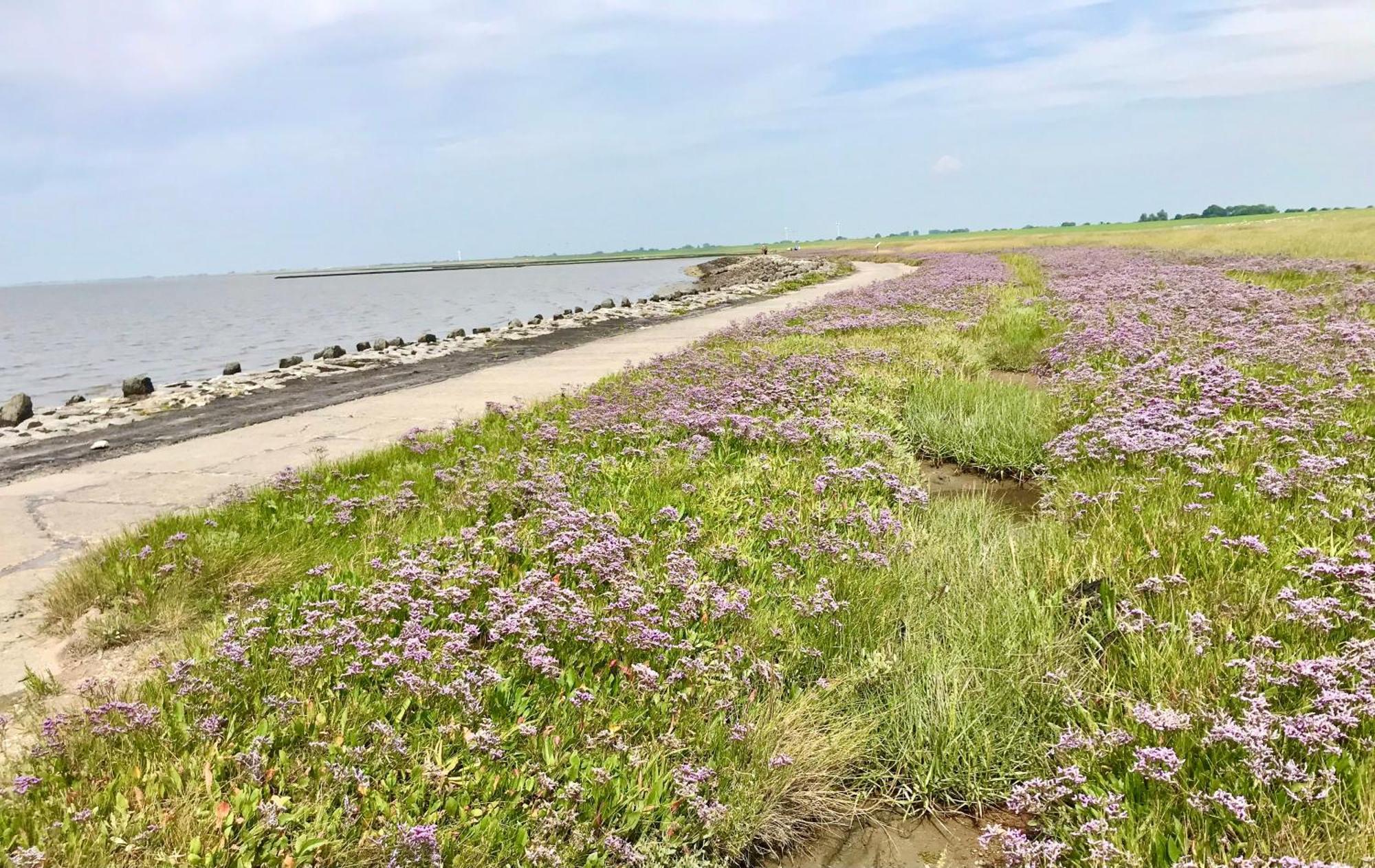 Haus Meerauszeit - Erholung An Der Nordsee Schweiburg Extérieur photo